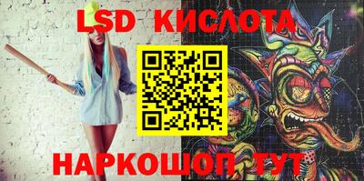 СК Новодвинск