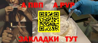 СК Новодвинск