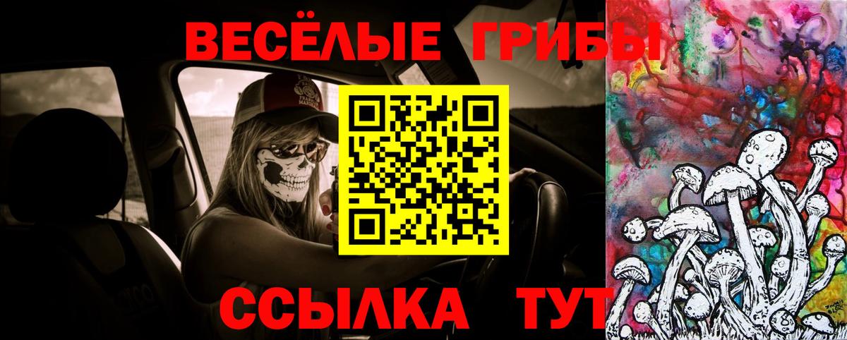 Псилоцибиновые грибы GOLDEN TEACHER Советская Гавань