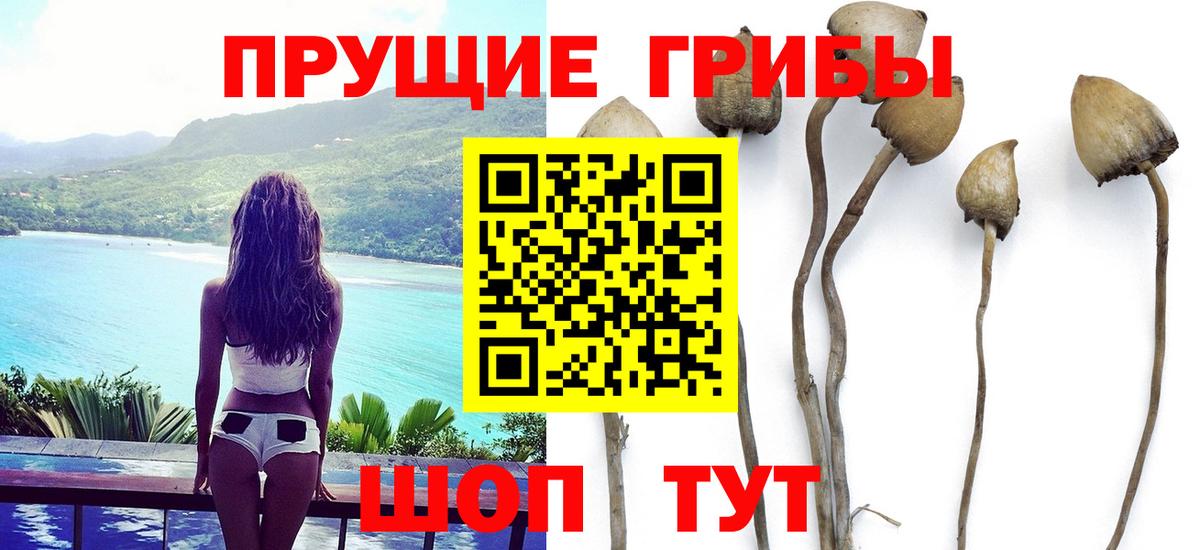 Советская Гавань  Галлюциногенные грибы Psilocybine cubensis  Галлюциногенные грибы Magic Shrooms  Вход с VPN 